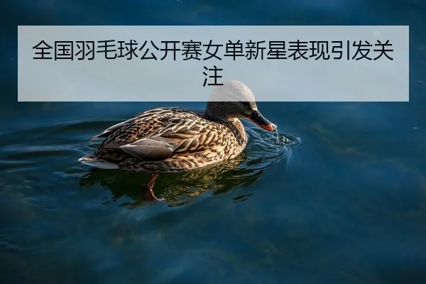 全国羽毛球公开赛女单新星表现引发关注